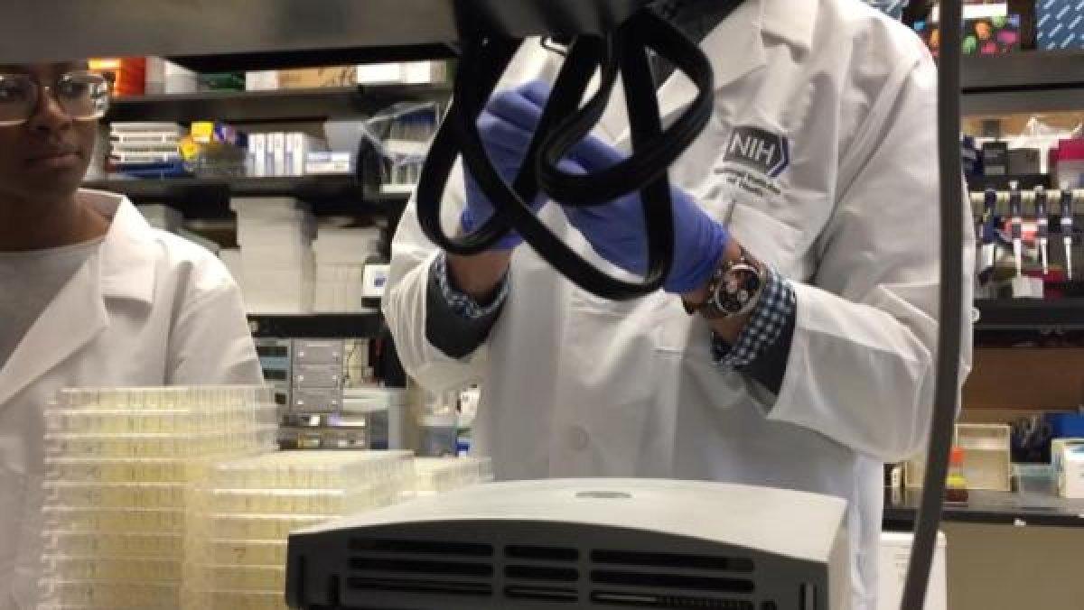 Koronavirüs fotoğrafları yayınlandı