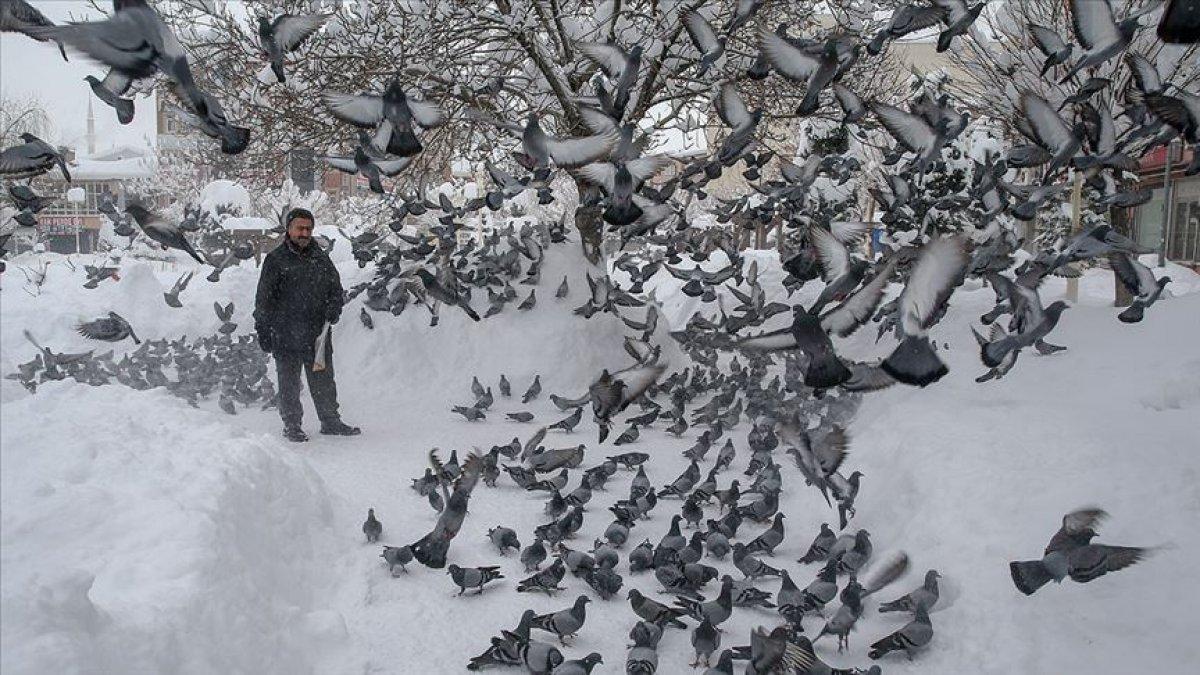 30 yıldır binlerce kuşa evladı gibi bakıyor