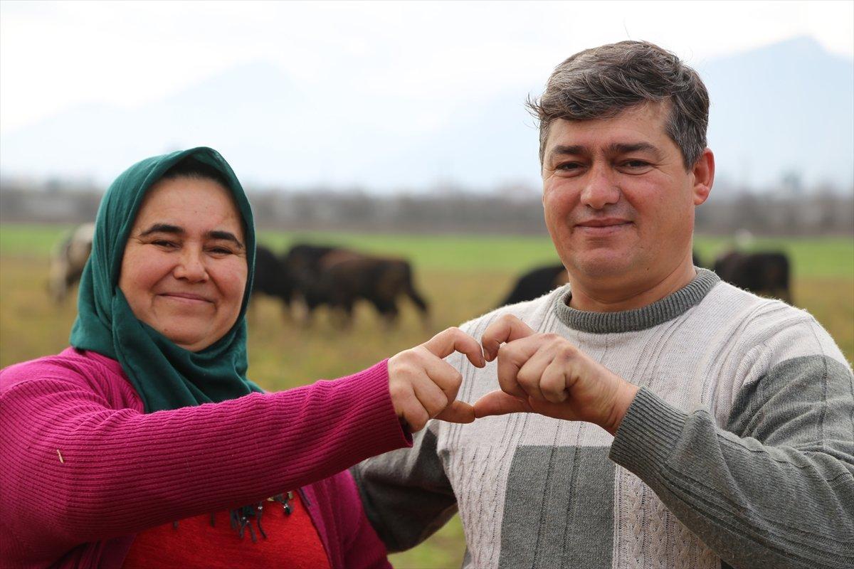 Sevgililer Günü hediyesi buzağılarla çiftlik kurdu