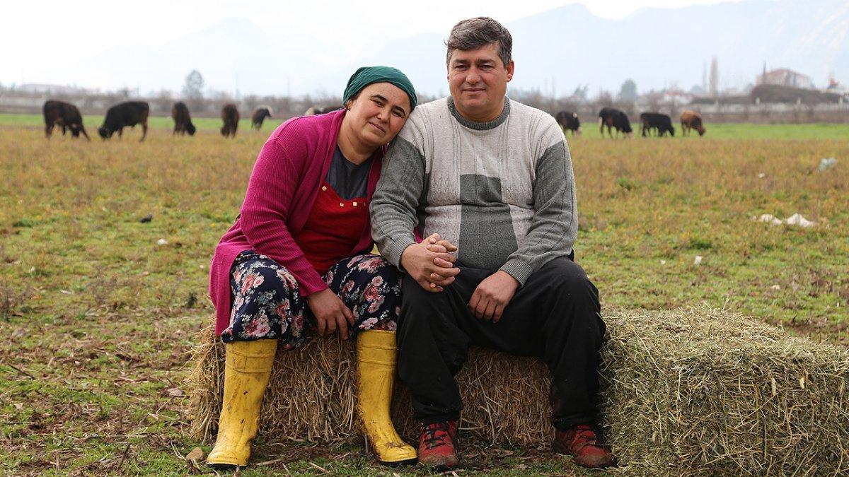 Sevgililer Günü hediyesi buzağılarla çiftlik kurdu