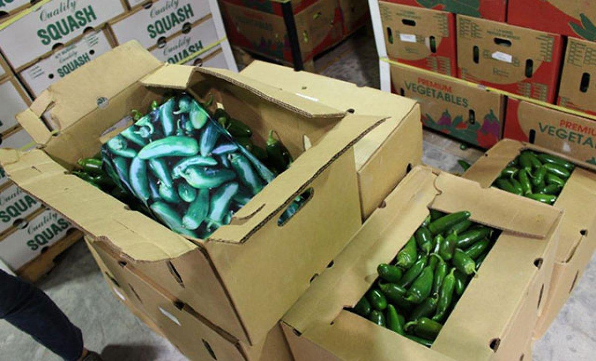 Kasaya saklı uyuşturucuyu biber fotoğrafı ele verdi