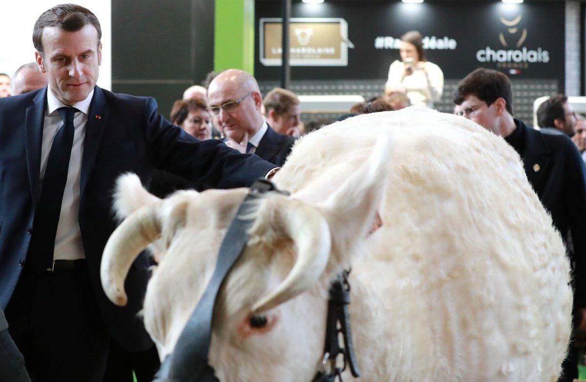 Macron, hayvanların kalitesini kontrol etti