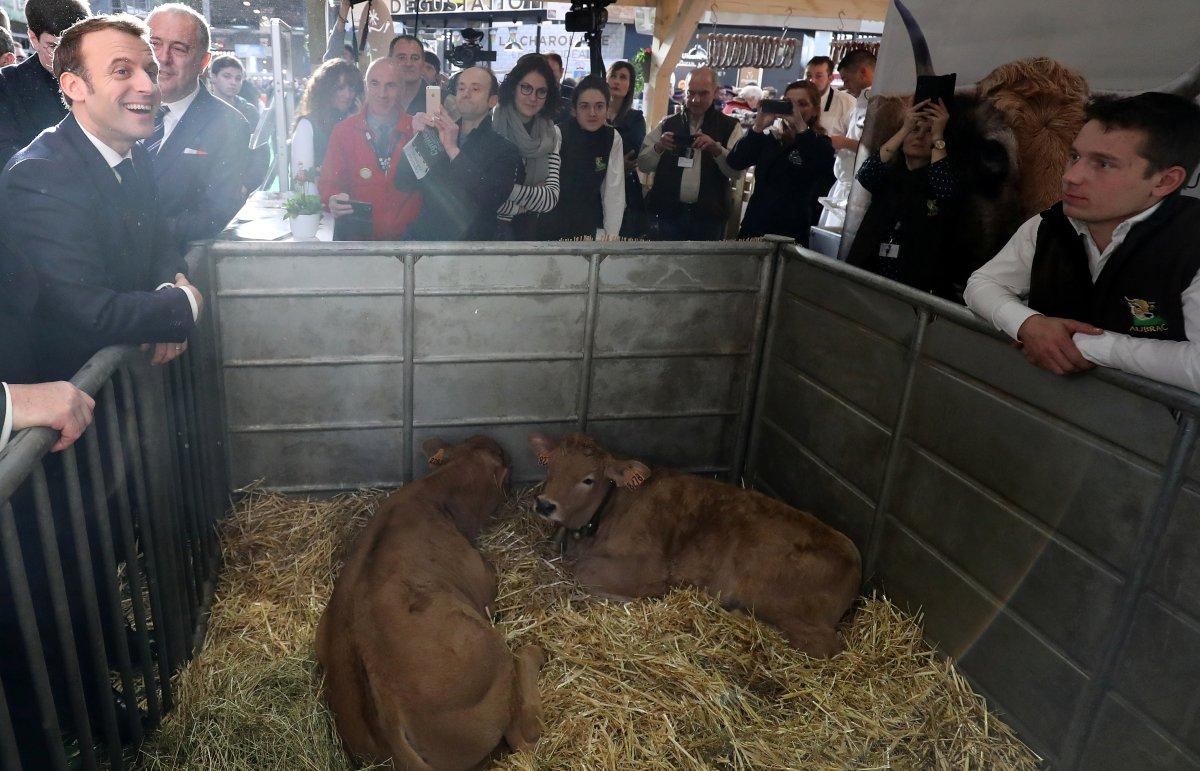 Macron, hayvanların kalitesini kontrol etti