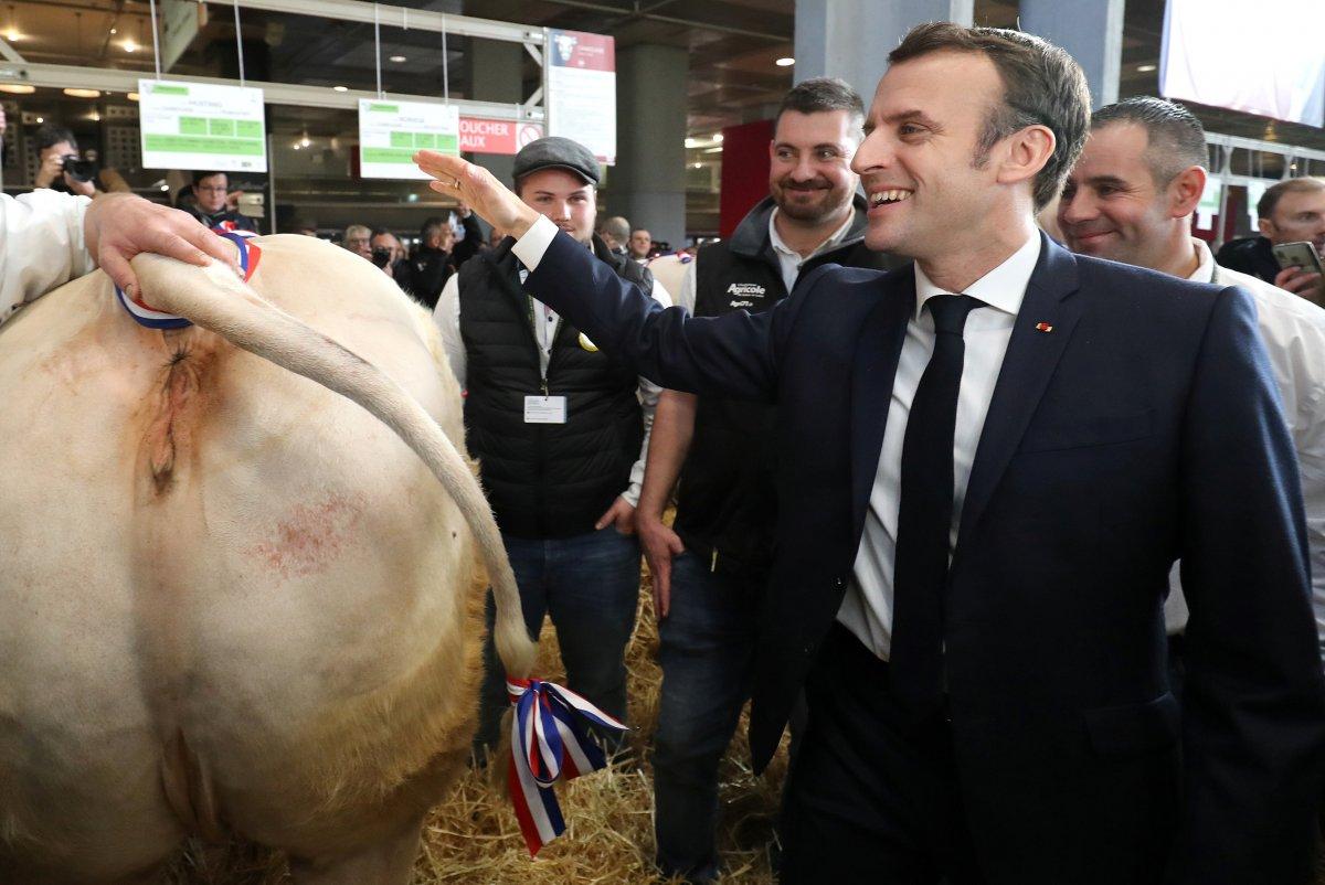 Macron, hayvanların kalitesini kontrol etti