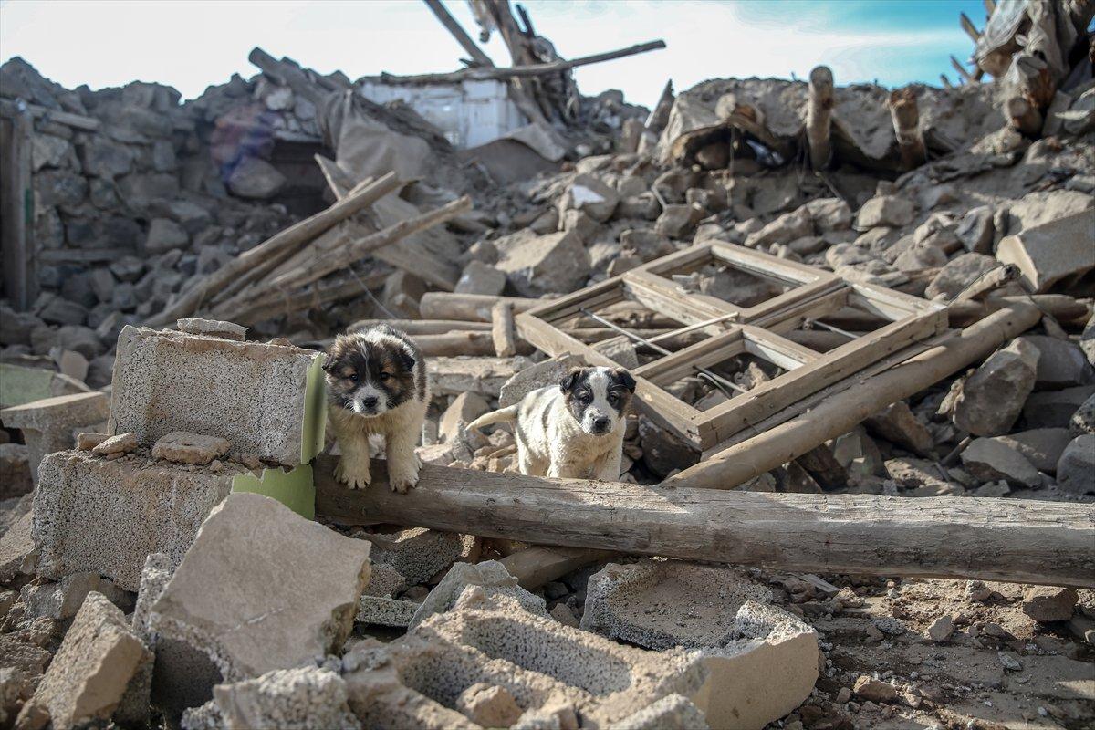Van'da 187 artçı sarsıntı meydana geldi