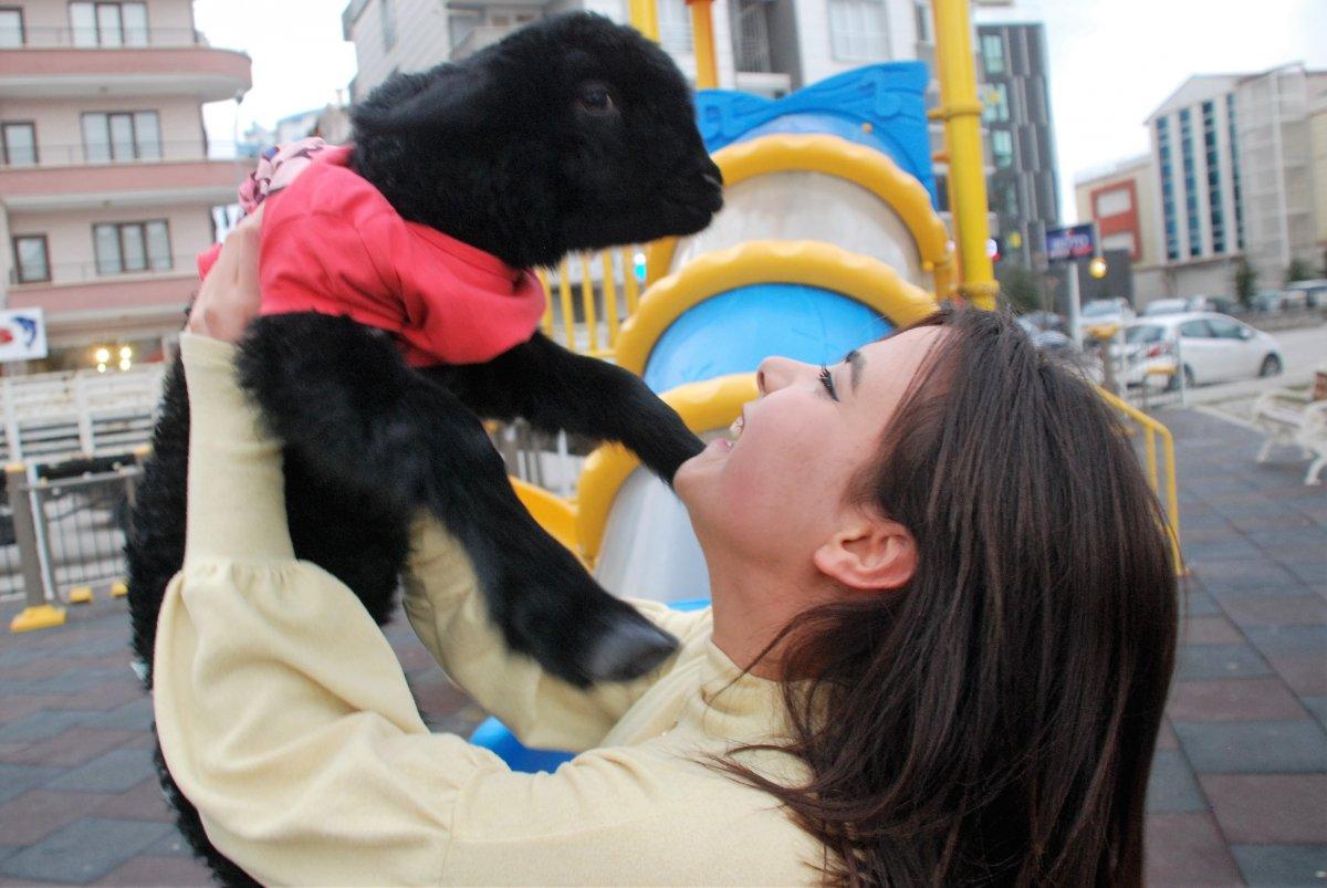 Annesinin reddettiği kuzuyu sahiplendi