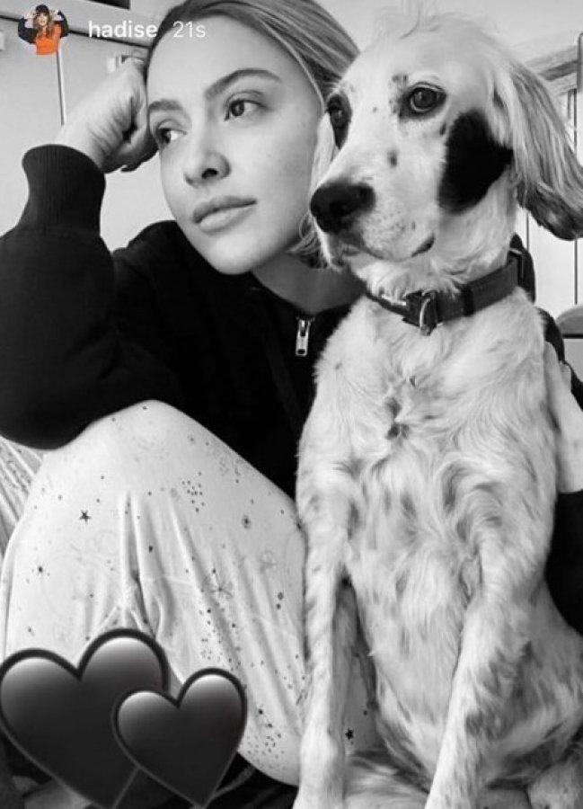 Hadise aşkını ilan etti