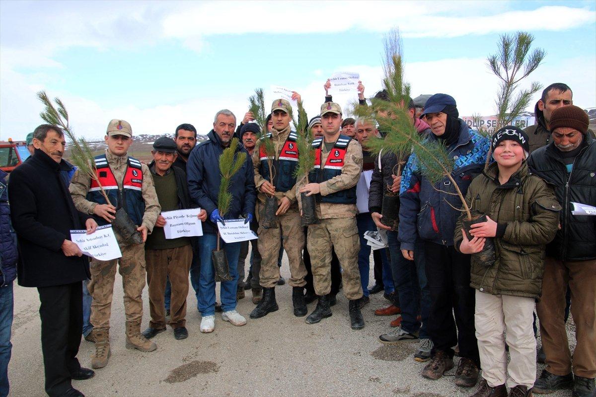 Sivas'ta İdlib şehitleri anısına fidan dikildi