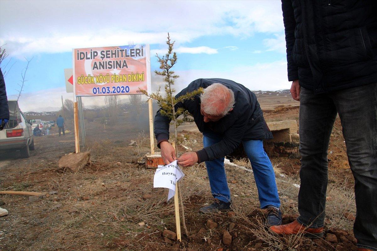 Sivas'ta İdlib şehitleri anısına fidan dikildi