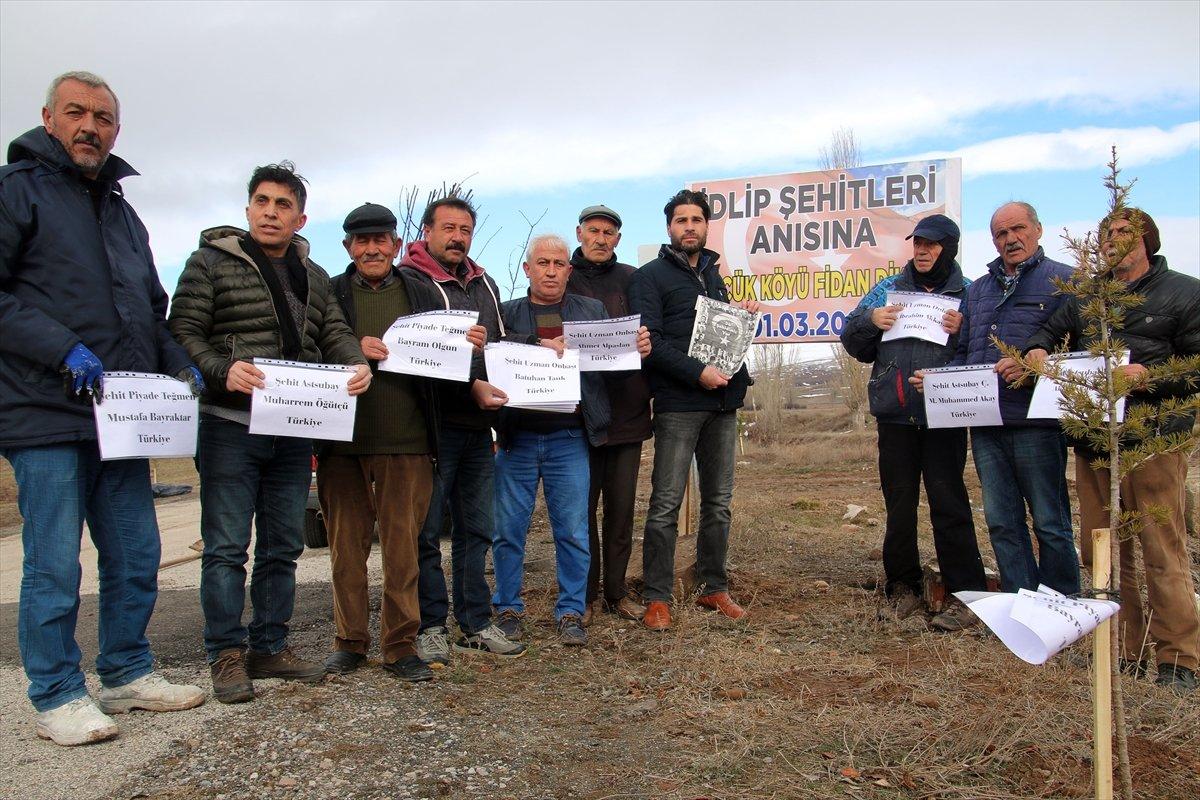 Sivas'ta İdlib şehitleri anısına fidan dikildi