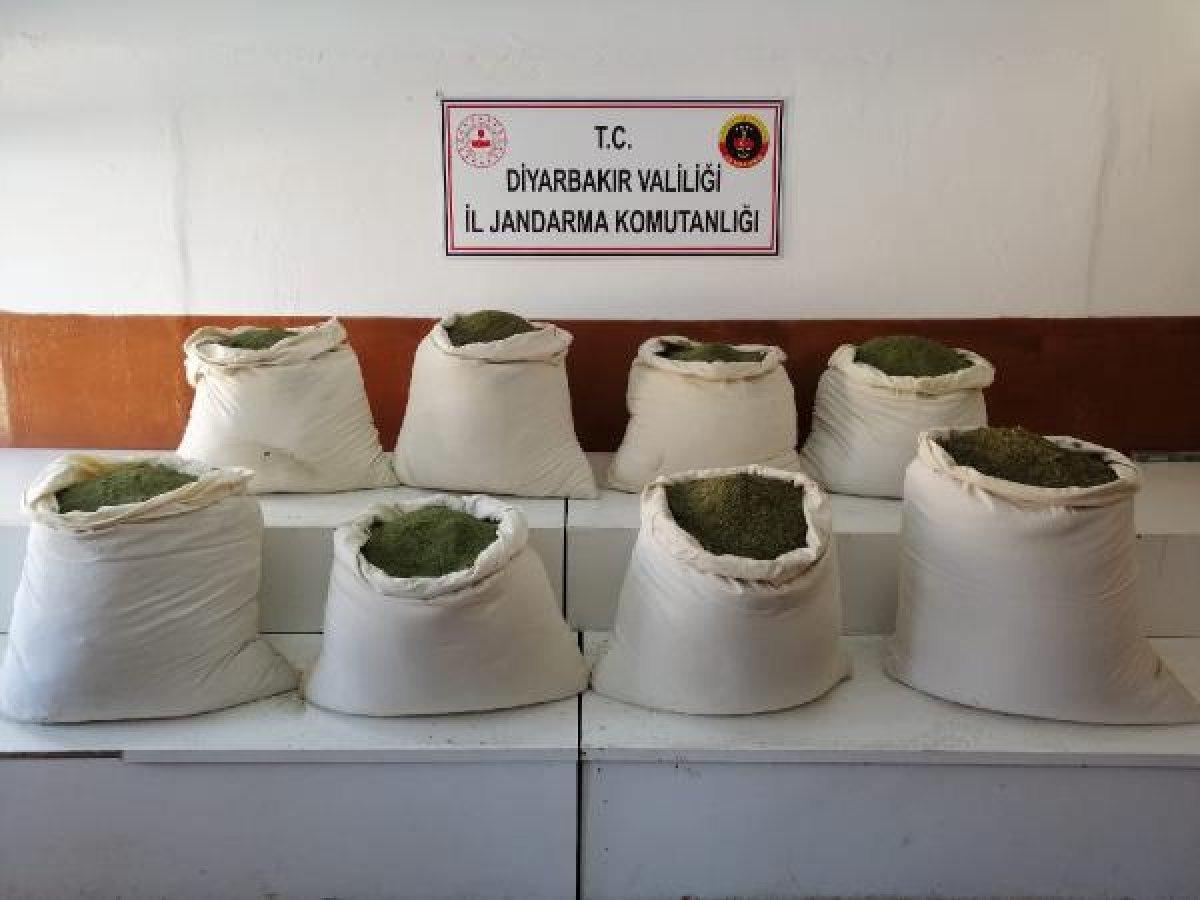 300 kilo esrarı okul önünde satacaklardı, jandarma buldu