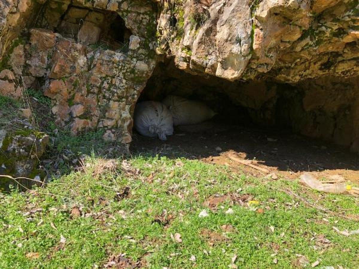 300 kilo esrarı okul önünde satacaklardı, jandarma buldu