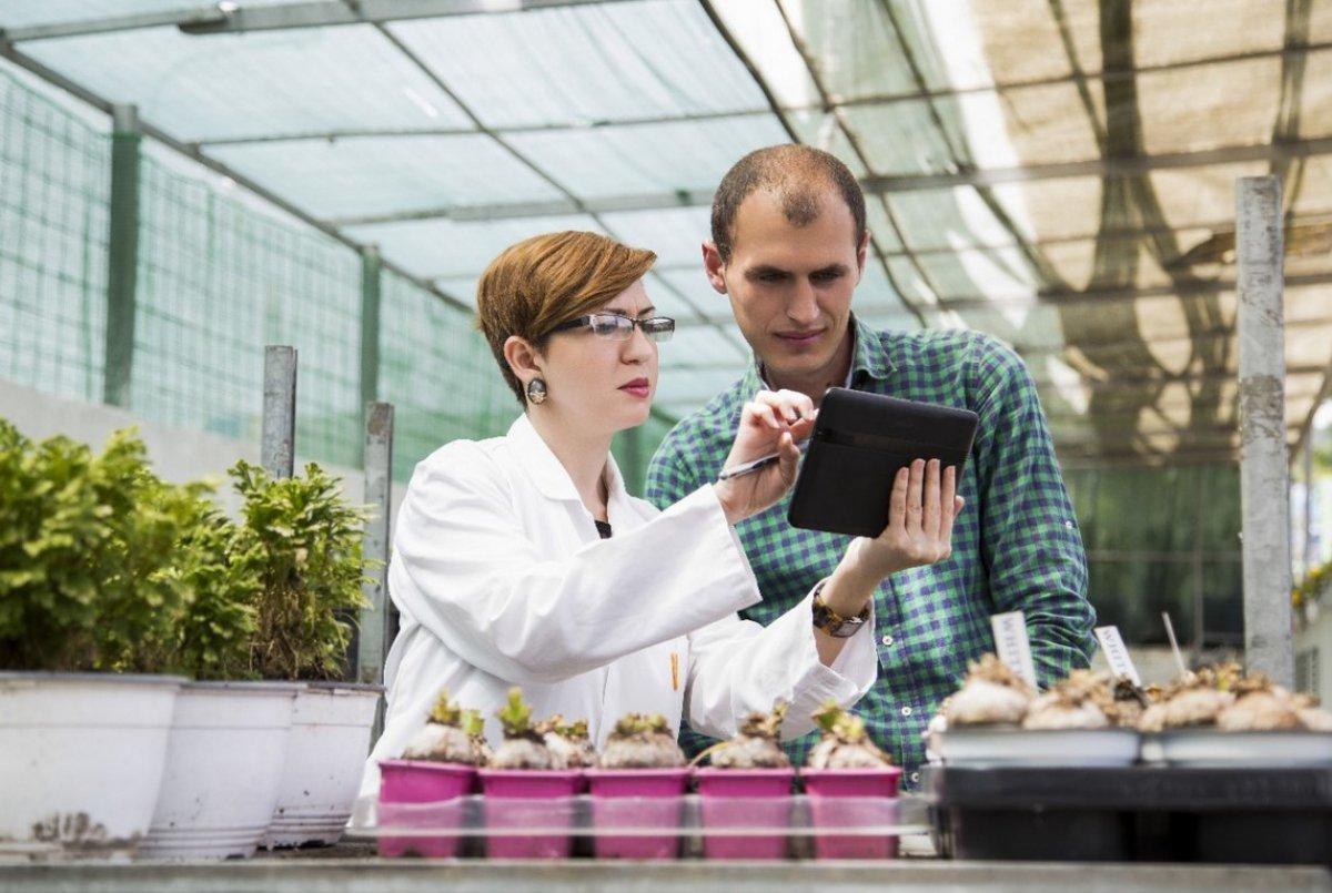 BM: Dünya nüfusunun yüzde 90'ı kadınlara karşı ön yargılı