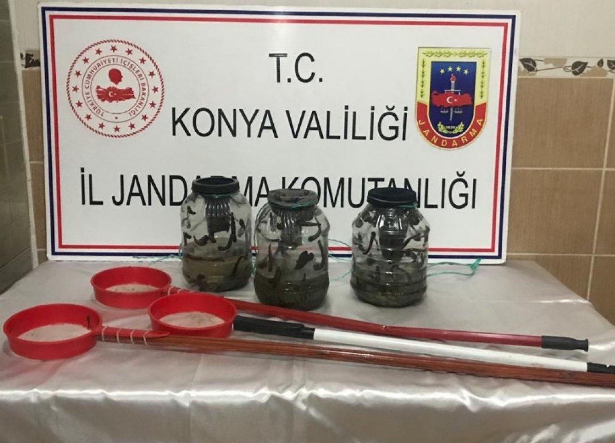 Kaçak sülük avcılarına 221 bin lira ceza