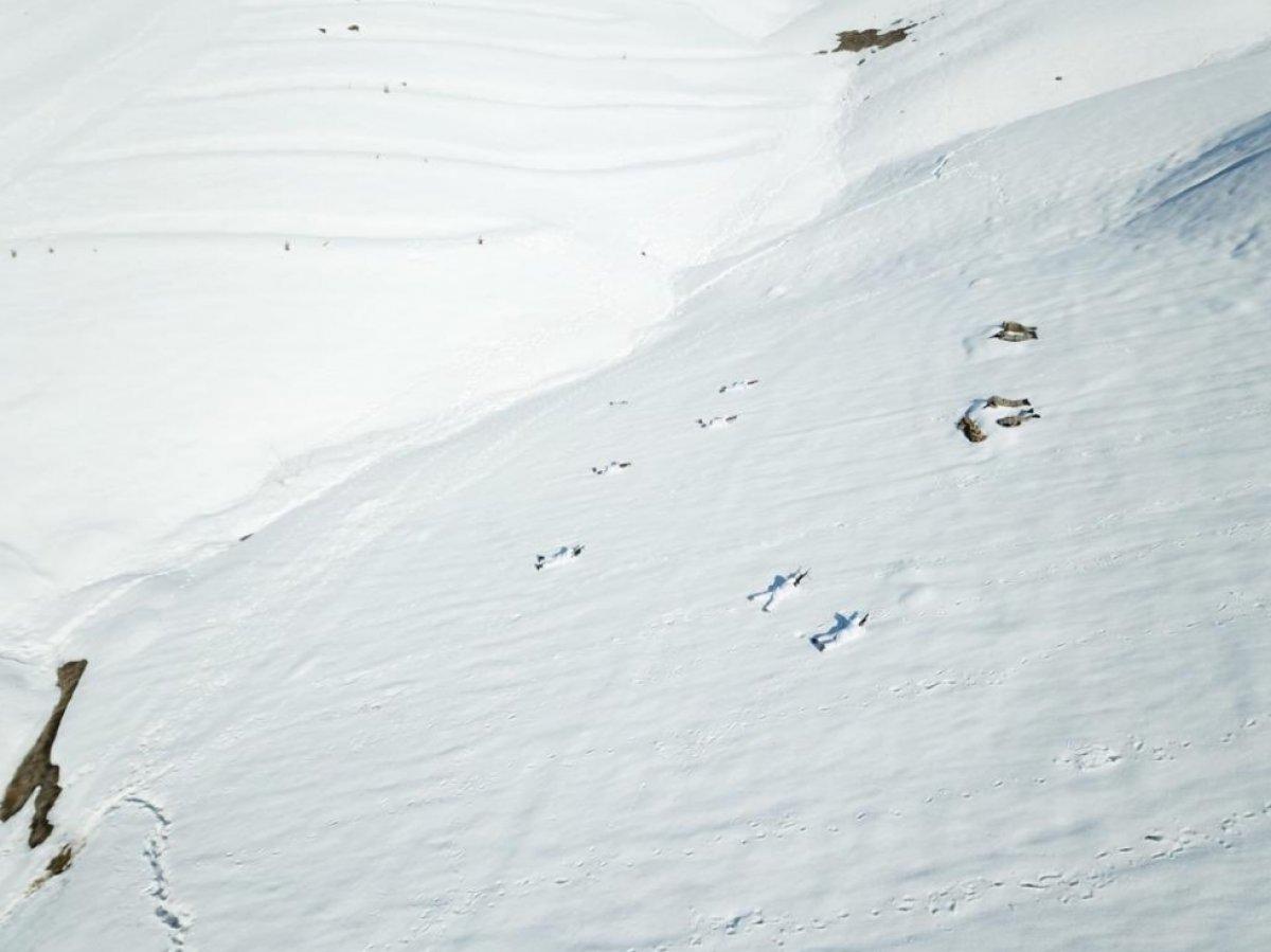 TSK'dan zorlu hava şartlarında eğitim