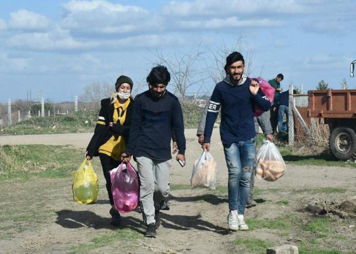 Mültecilerin at arabalarıyla market alışverişi