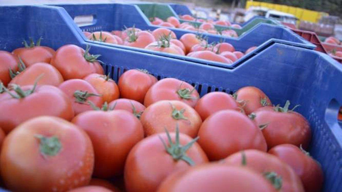 Petroldeki düşüş Rus ekonomisini vurdu