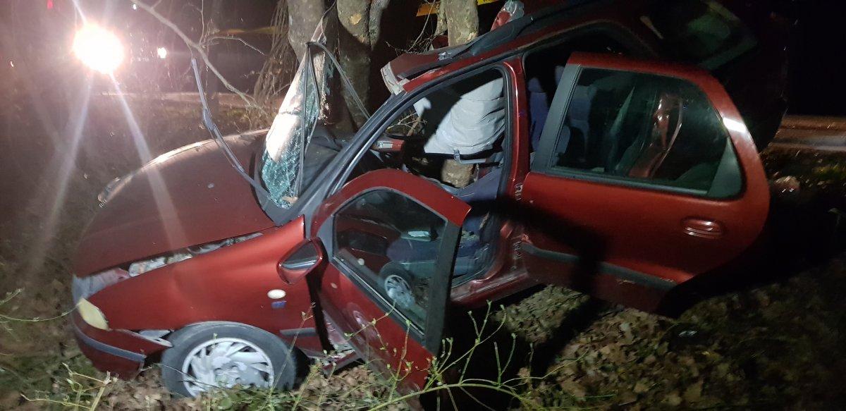 Karabük'te otomobil ağaca çarptı: 1 ölü