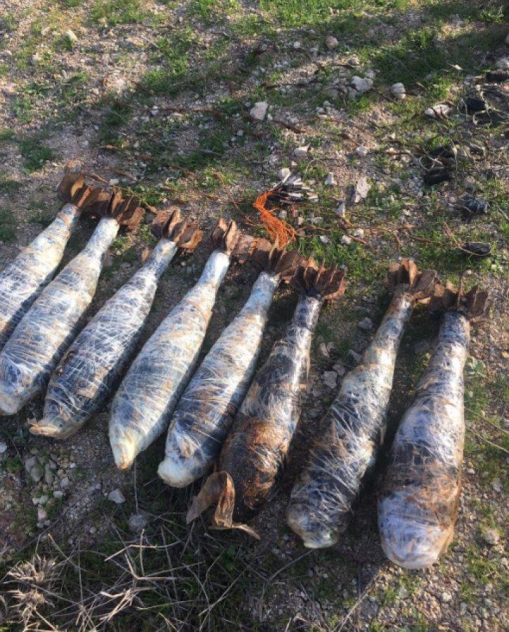 Barış Pınarı bölgesinde 25 EYP imha edildi