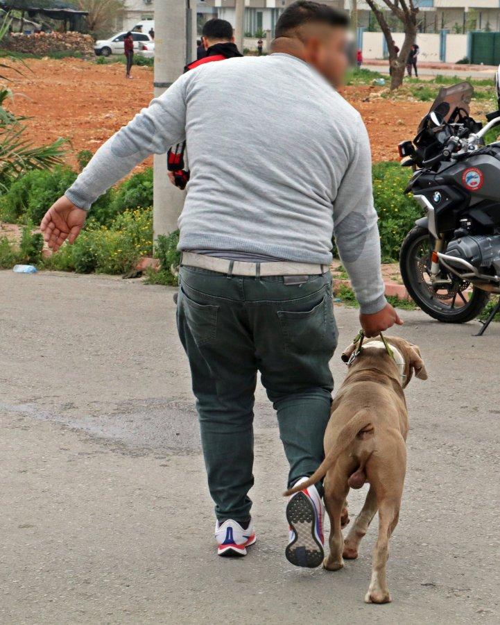 Ehliyetsiz sürücü ve yakınları ortalığı birbirine kattı