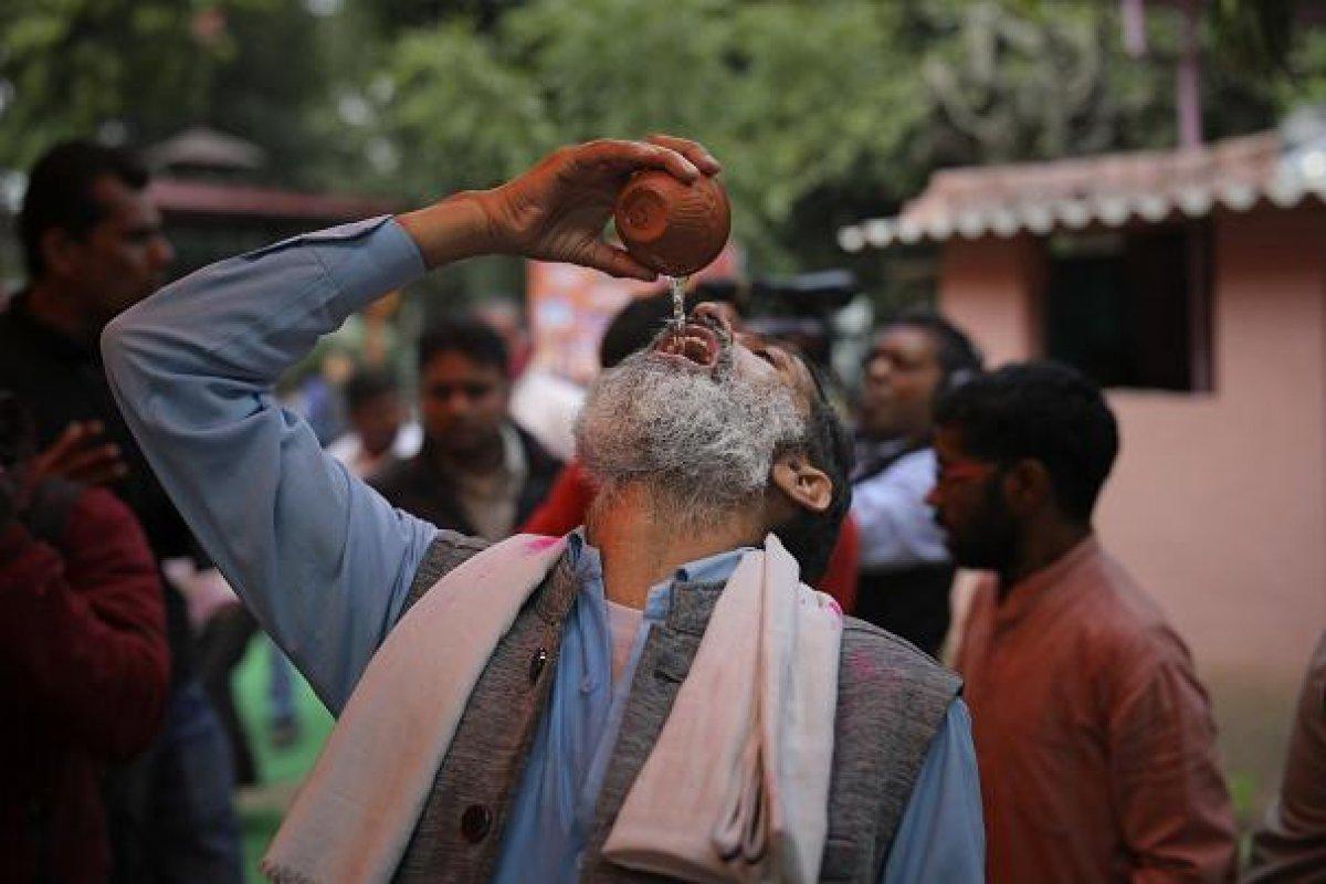 Hindistan halkı koronadan korunmak için inek idrarı içti