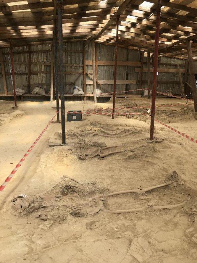 Balkan Savaşı'nda şehit edilen 30 askere ait toplu mezar