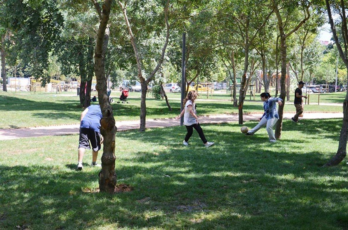 Tarım ve Orman Bakanlığı'ndan mangal yasağı