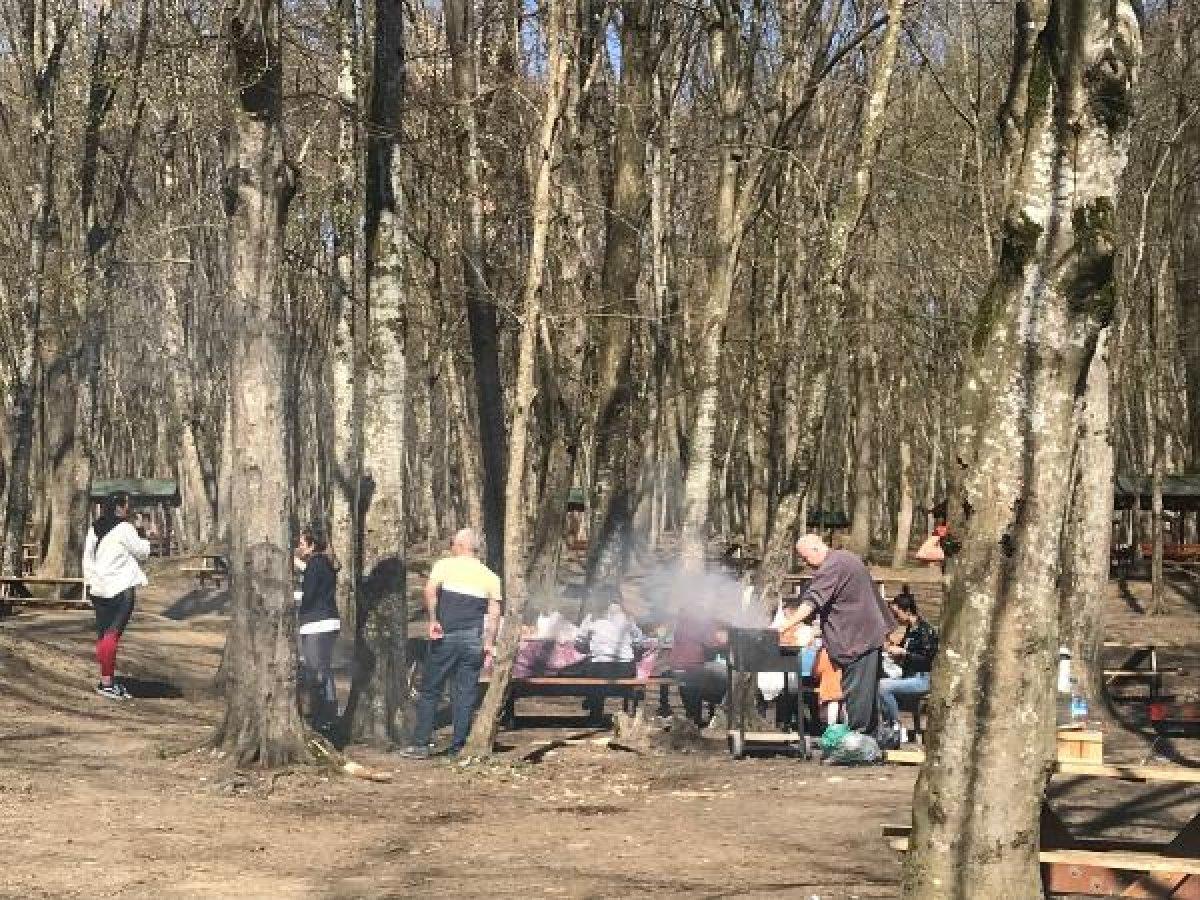 Belgrad Ormanı'nda yasağa rağmen mangala devam