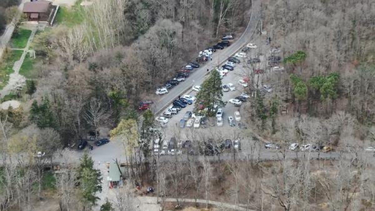 Belgrad Ormanı'nda yasağa rağmen mangala devam