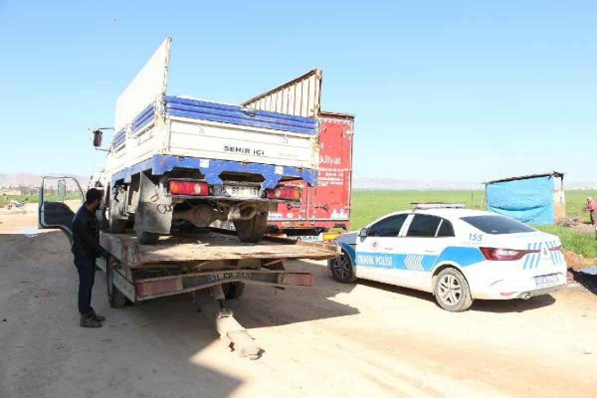 Mardin'de sürücü seyir halindeki aracının üzerine çıktı