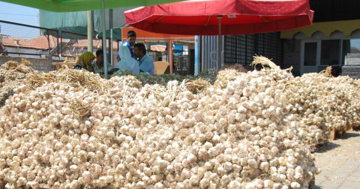 Sarımsak fiyatını ikiye katladı