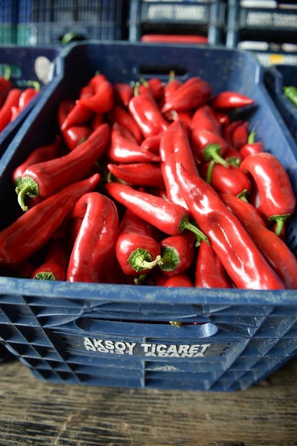 Domatesin fiyatı düştü, limon yükselişe geçti