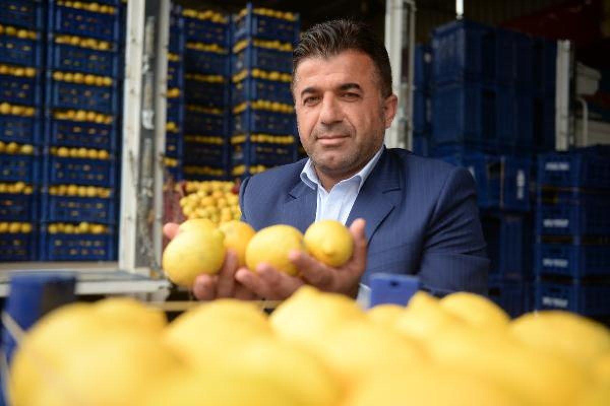 Domatesin fiyatı düştü, limon yükselişe geçti