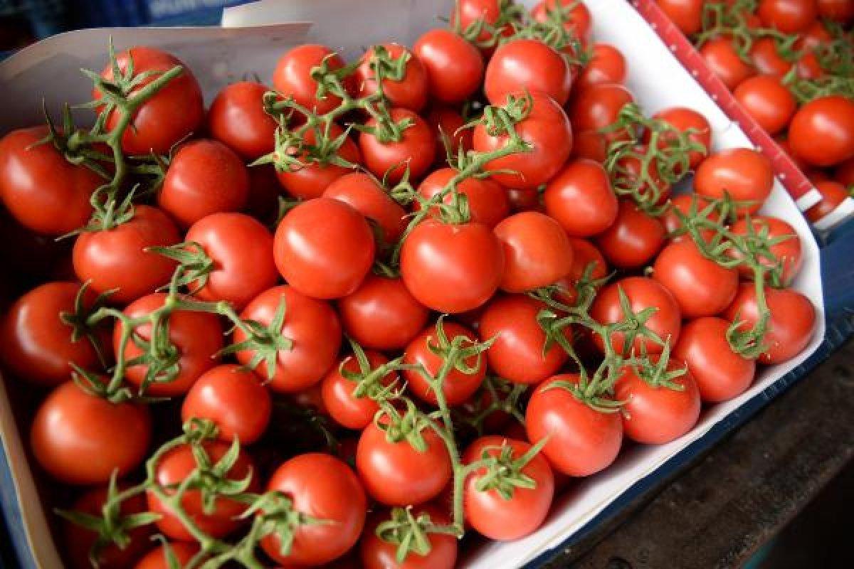 Domatesin fiyatı düştü, limon yükselişe geçti