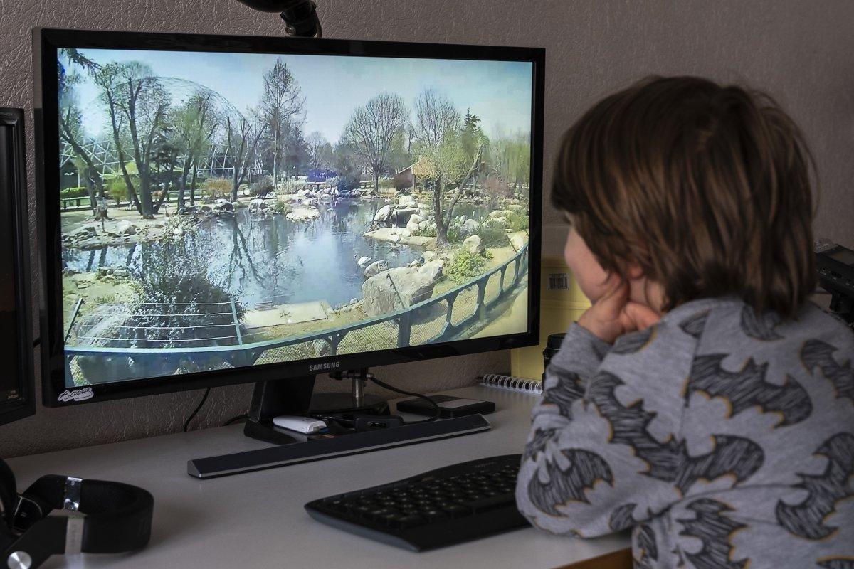 Bursa Hayvanat Bahçesi’ne canlı bağlantı