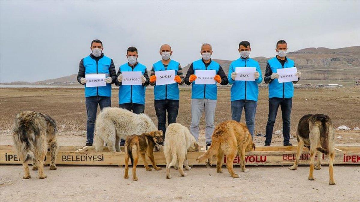 Sokaklarda yalnız kalan hayvanlar unutulmadı