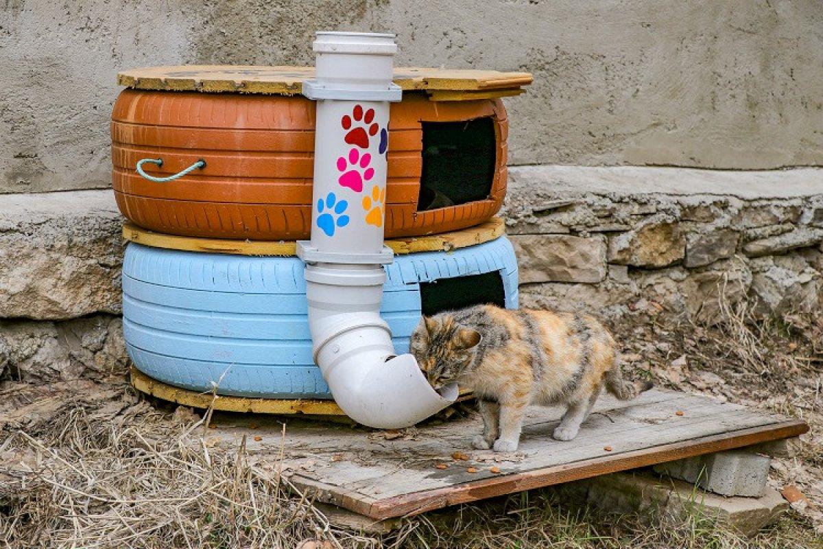 Sokaklarda yalnız kalan hayvanlar unutulmadı