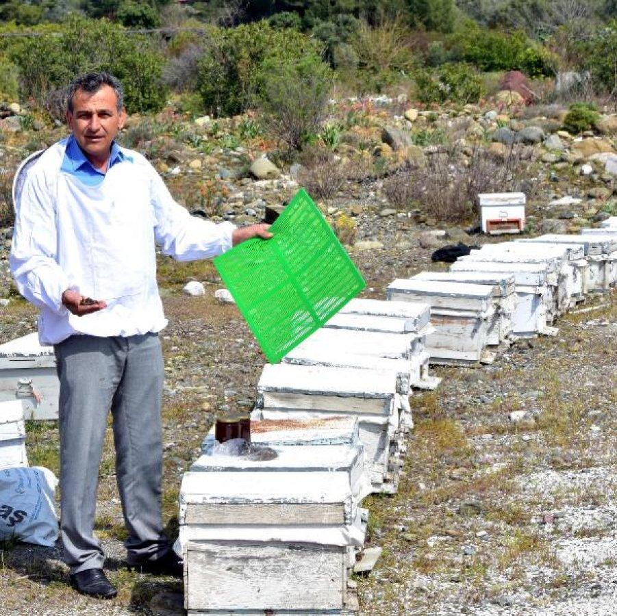 Propolis, 2 bin liradan alıcı buluyor