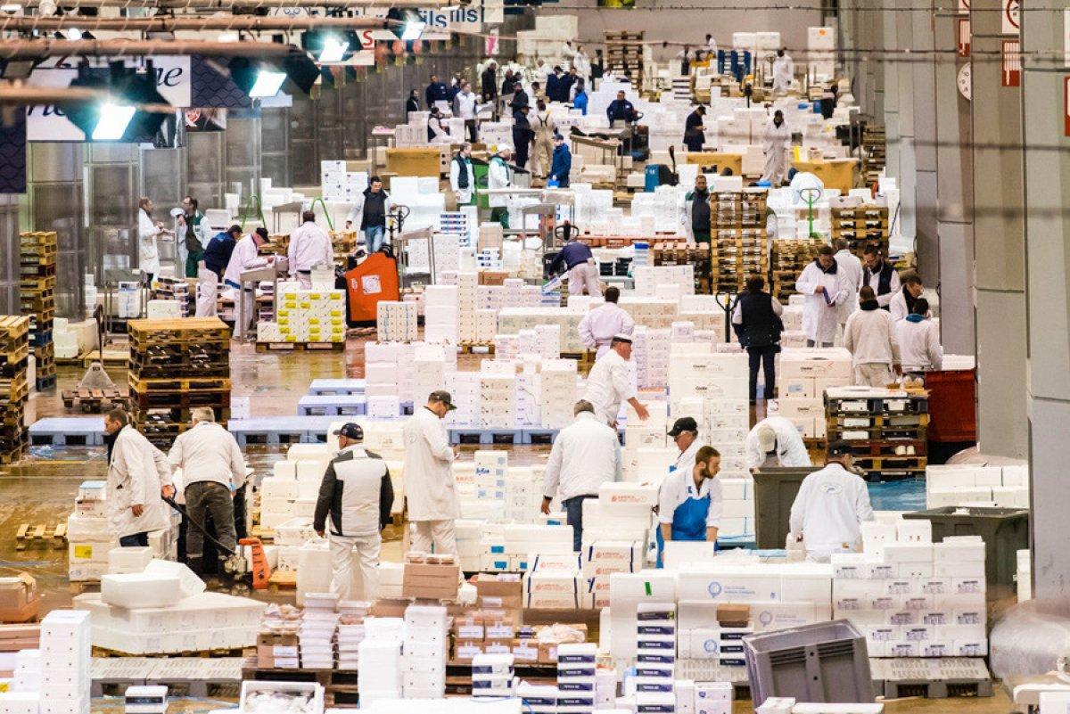 Fransa'da sebze hali morg yapıldı