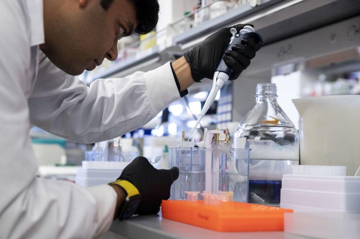 İran'da 3 bağımsız grup korona aşısı için çalışıyor