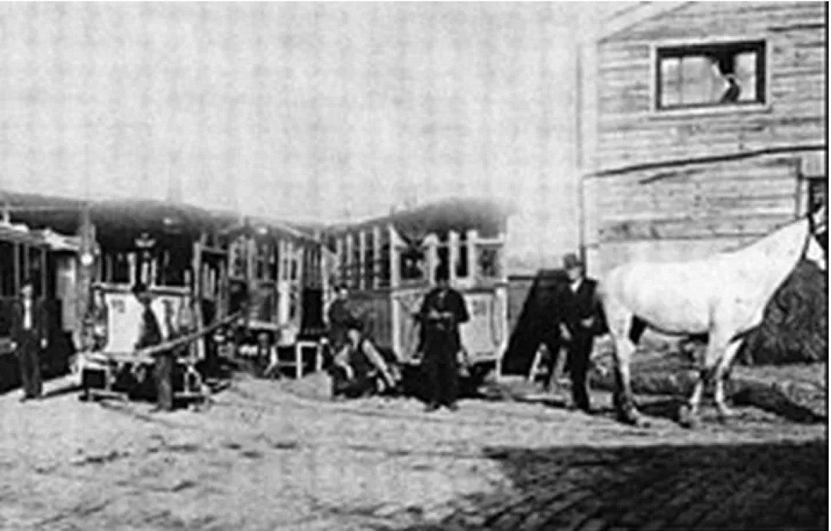 Dingo'nun ahırı nedir