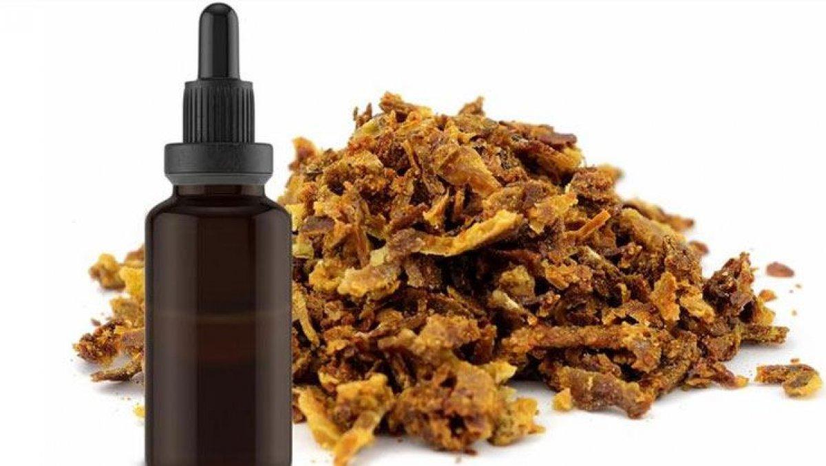 Propolis nedir