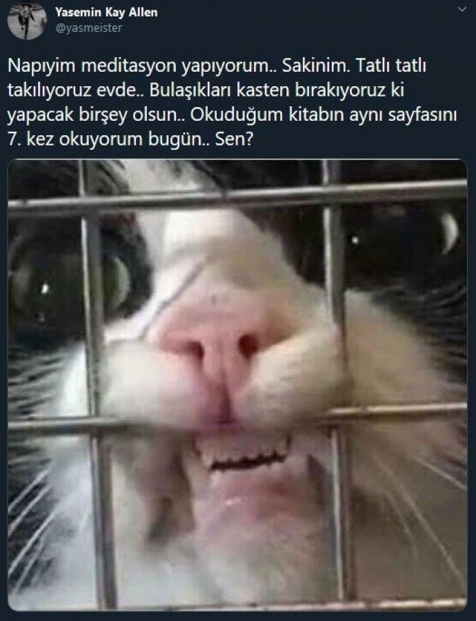 Yasemin Allen: Tatlı tatlı takılıyoruz evde