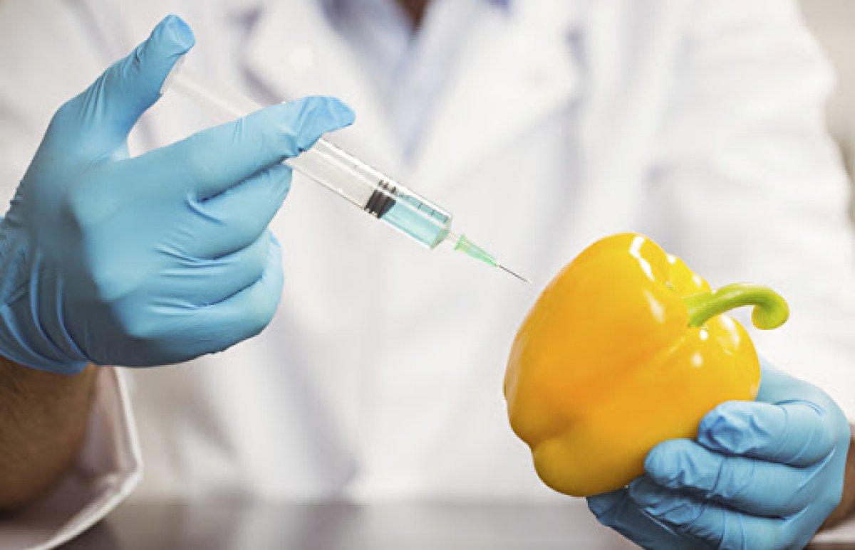 Sodyum benzoat nedir