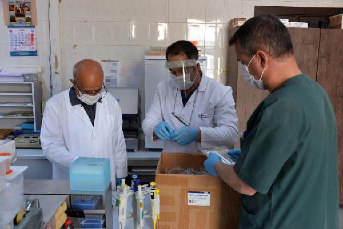 Plazma tedavisi hazır, aşı için 6 ay gerekiyor