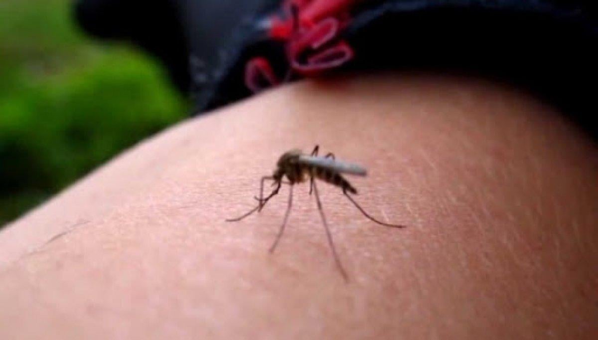 Endonezya'da koronadan sonra yeni salgın: 254 ölü