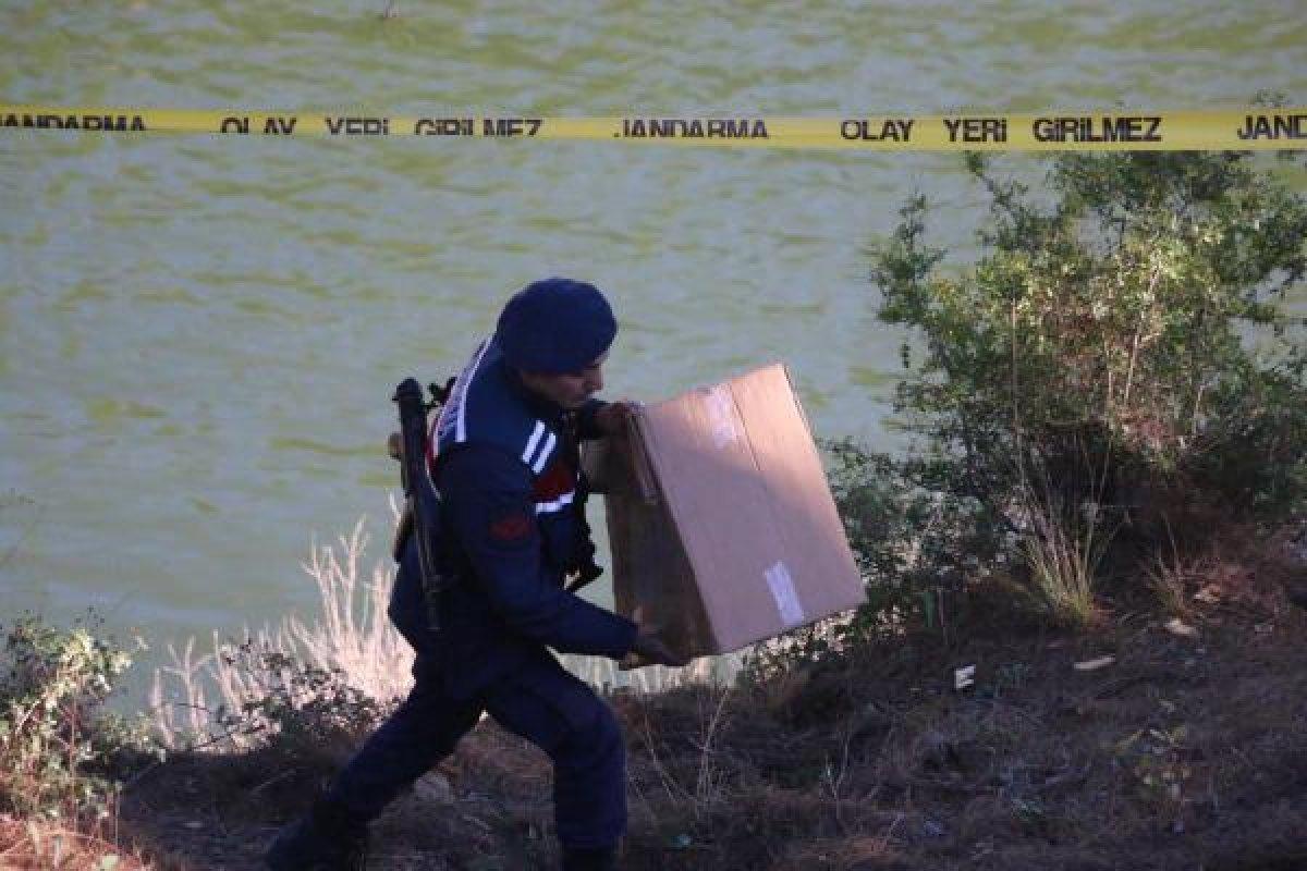 Cesedi parçalara ayrıldı, veteriner suçunu itiraf etti