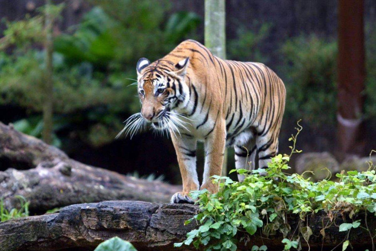 ABD merkezli bilim dergisinden korkutan araştırma