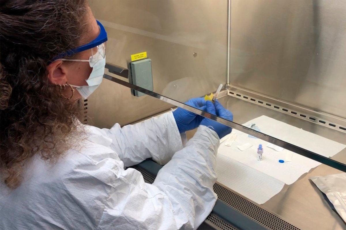 ABD'de ikinci korona aşısı testi başladı