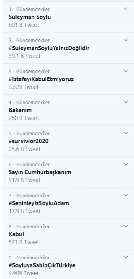 Süleyman Soylu'ya göreve dön çağrıları